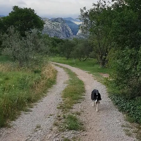 Paron Sime Camping Seline