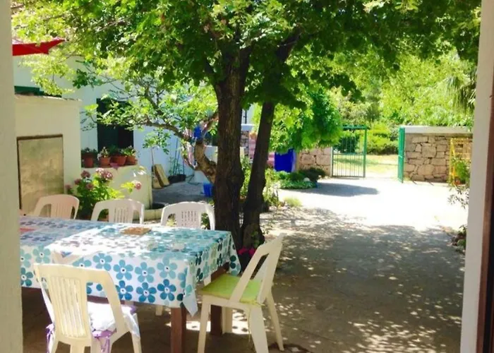 Paron Sime Kamp alanı