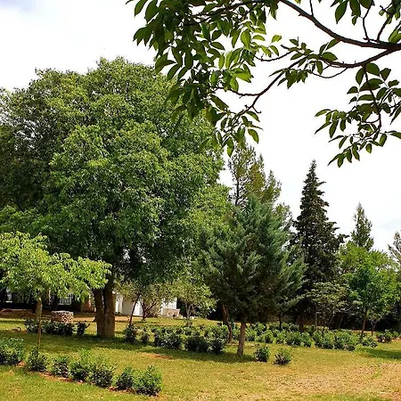 Paron Sime Campingplatz