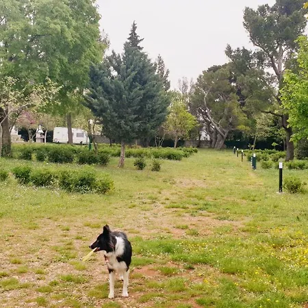 Paron Sime Campingplatz *