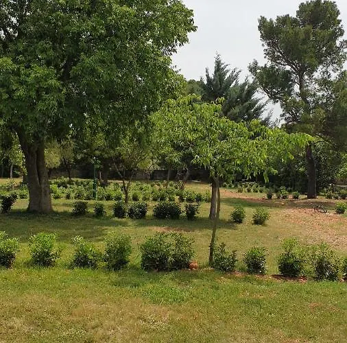 Paron Sime Parque de Campismo
