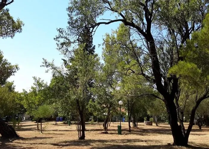 Parque de Campismo Paron Sime